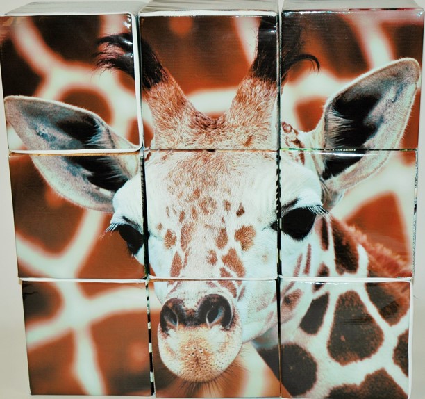Pic-a-Block — Safari