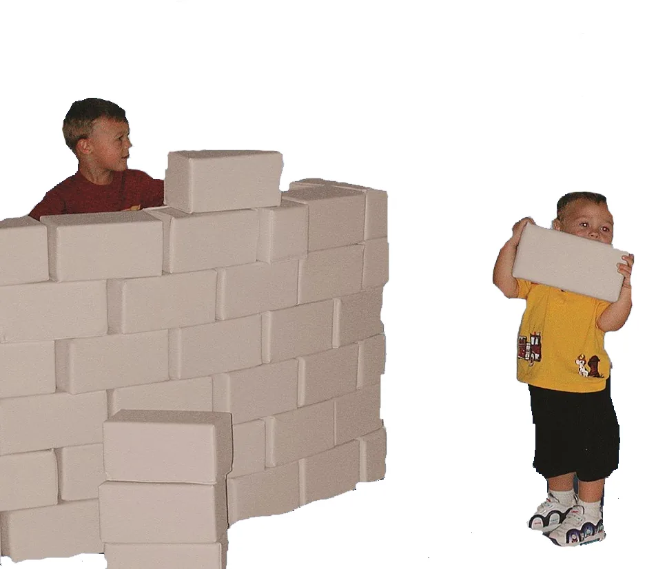 Snow Blocks