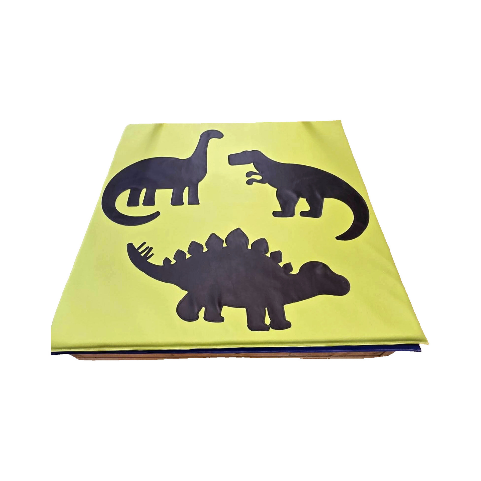 Dinosaur Mat